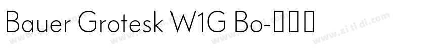 Bauer Grotesk W1G Bo字体转换 Bauer Grotesk W1G Bo字体转换